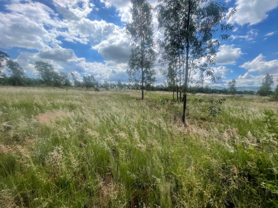 0 Bedroom Property for Sale in Alewynspoort Gauteng