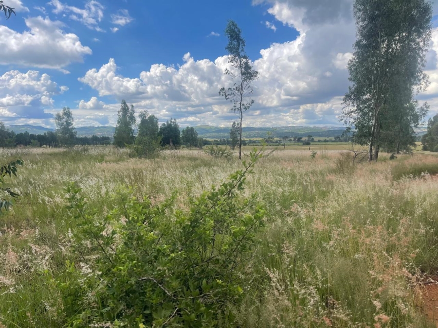 0 Bedroom Property for Sale in Alewynspoort Gauteng