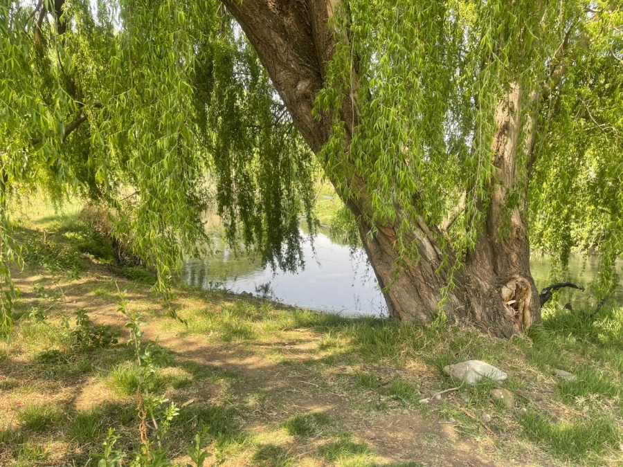 0 Bedroom Property for Sale in Olifantsvlei Gauteng