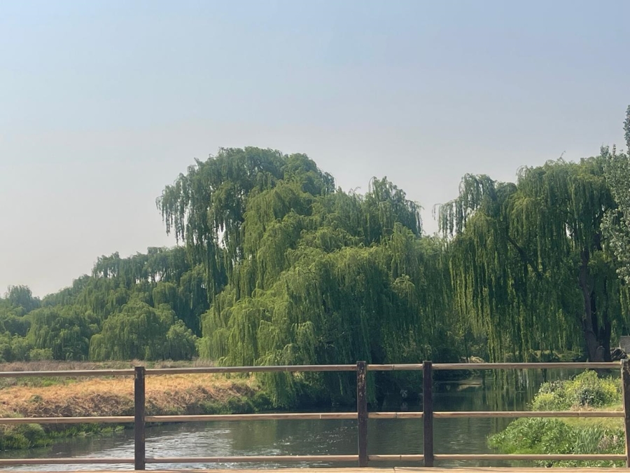 0 Bedroom Property for Sale in Olifantsvlei Gauteng