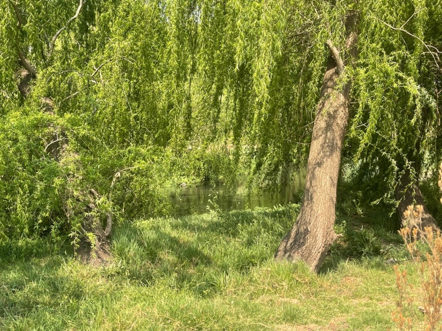 0 Bedroom Property for Sale in Olifantsvlei Gauteng