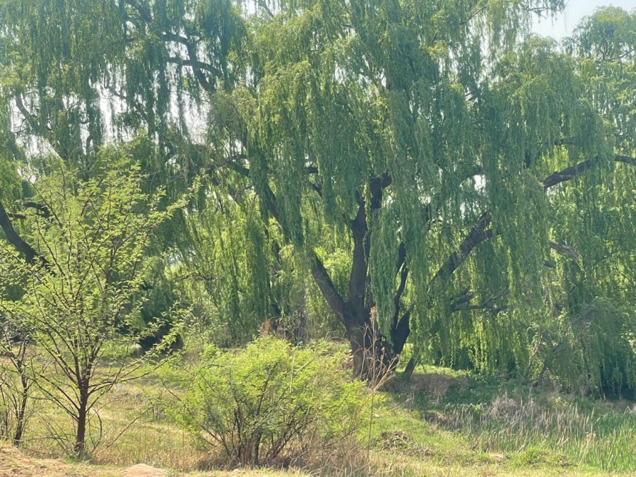 0 Bedroom Property for Sale in Olifantsvlei Gauteng