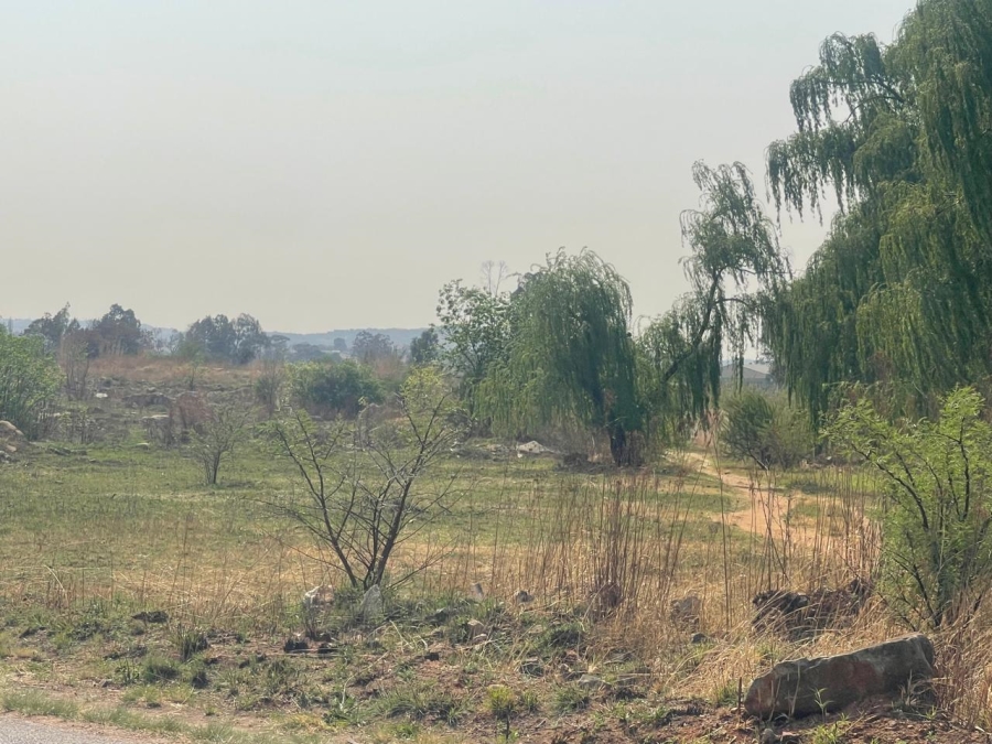 0 Bedroom Property for Sale in Olifantsvlei Gauteng