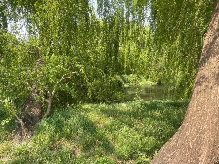 0 Bedroom Property for Sale in Olifantsvlei Gauteng