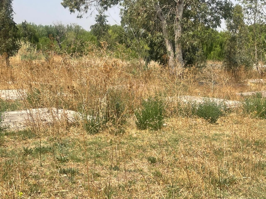 0 Bedroom Property for Sale in Olifantsvlei Gauteng