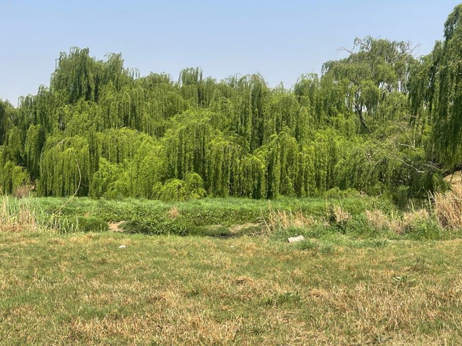 0 Bedroom Property for Sale in Olifantsvlei Gauteng