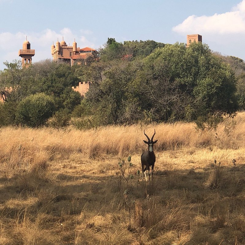 Commercial Property for Sale in Elandsfontein AH Gauteng