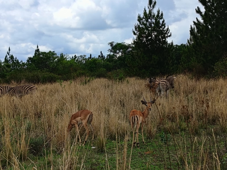 3 Bedroom Property for Sale in Montana Gauteng