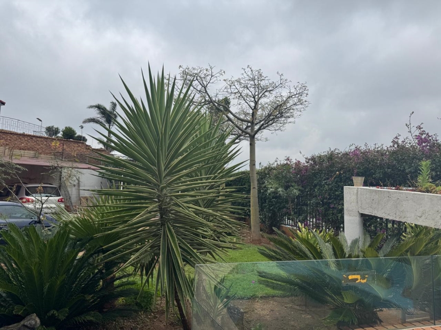 To Let 2 Bedroom Property for Rent in Bassonia Gauteng