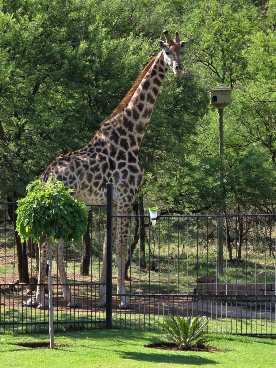 3 Bedroom Property for Sale in Meyerton Rural Gauteng