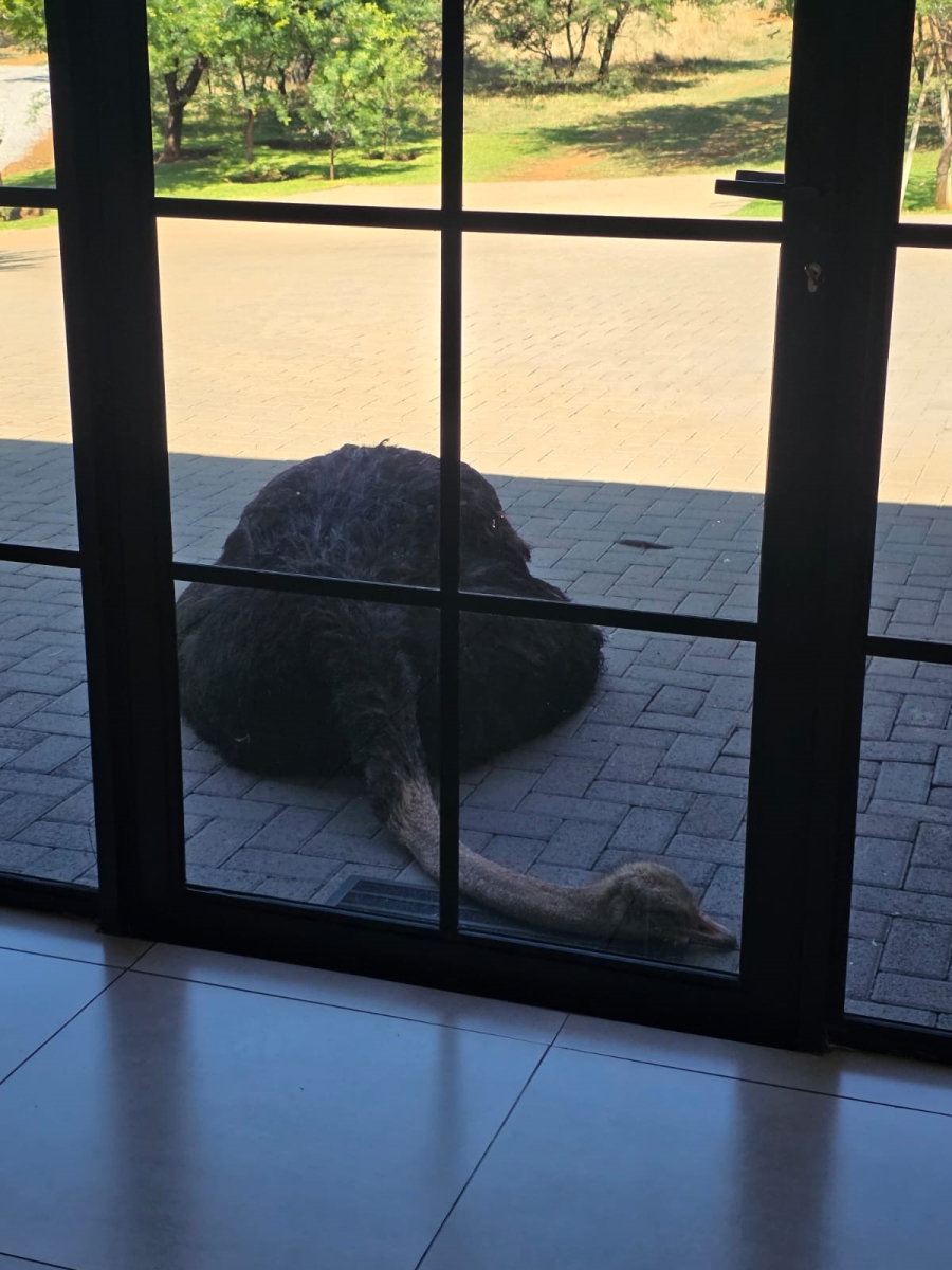 3 Bedroom Property for Sale in Meyerton Rural Gauteng