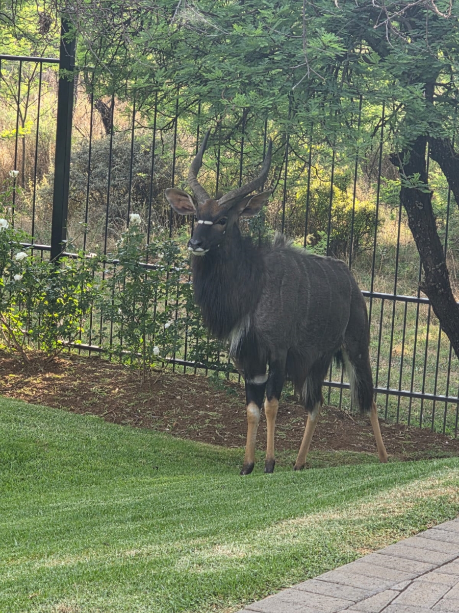 3 Bedroom Property for Sale in Meyerton Rural Gauteng