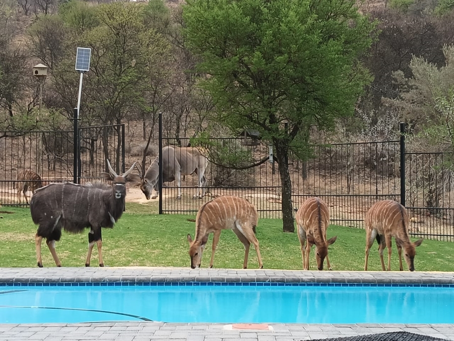 3 Bedroom Property for Sale in Meyerton Rural Gauteng