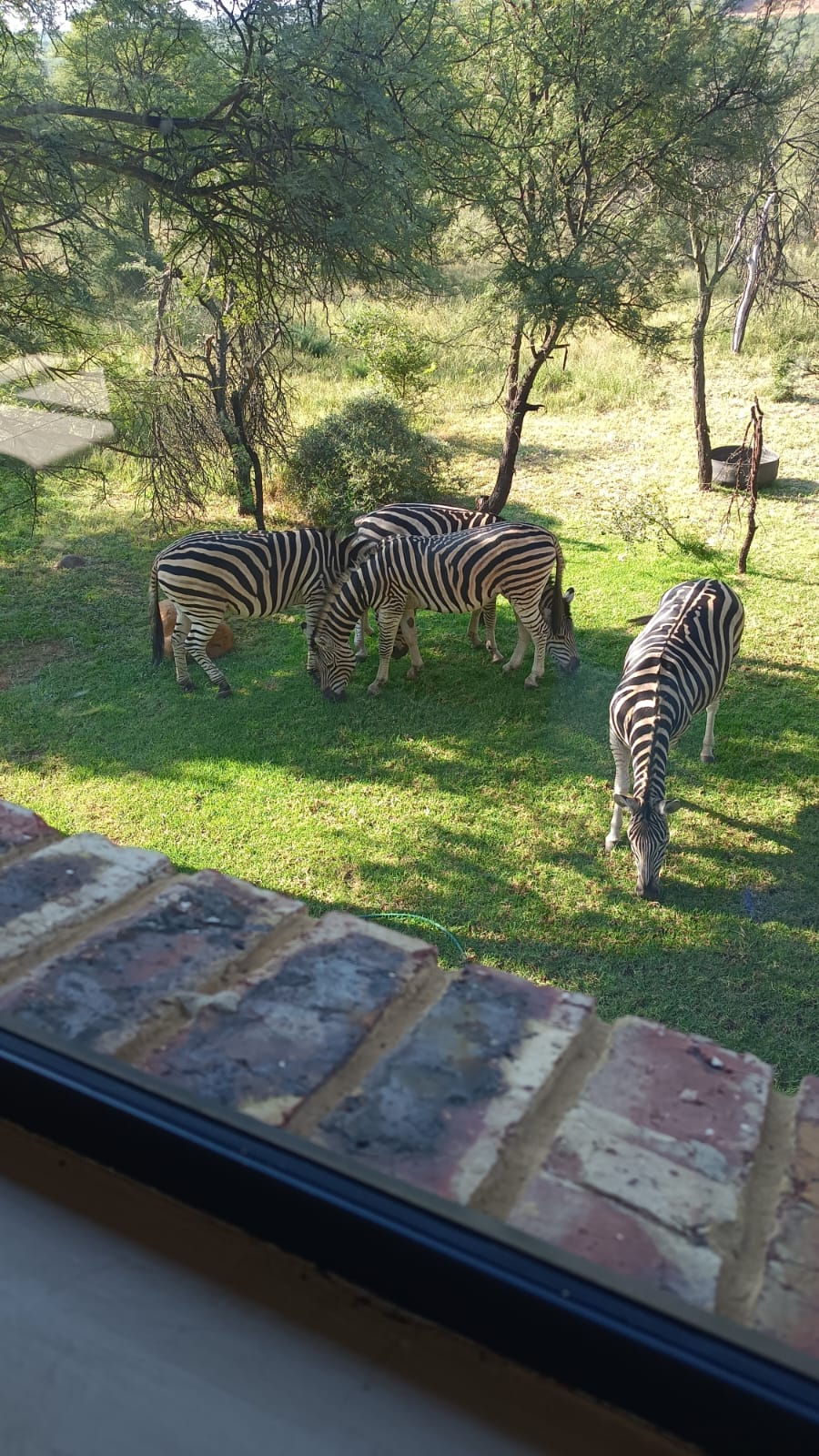 3 Bedroom Property for Sale in Meyerton Rural Gauteng