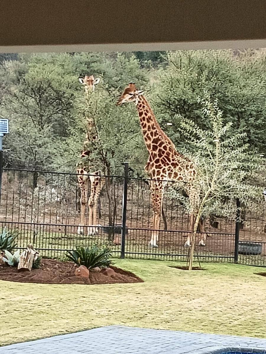 3 Bedroom Property for Sale in Meyerton Rural Gauteng