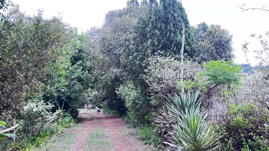 3 Bedroom Property for Sale in Muldersdrift Gauteng