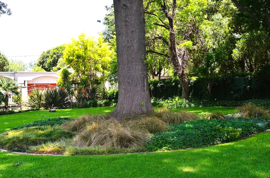 3 Bedroom Property for Sale in Henley on Klip Gauteng