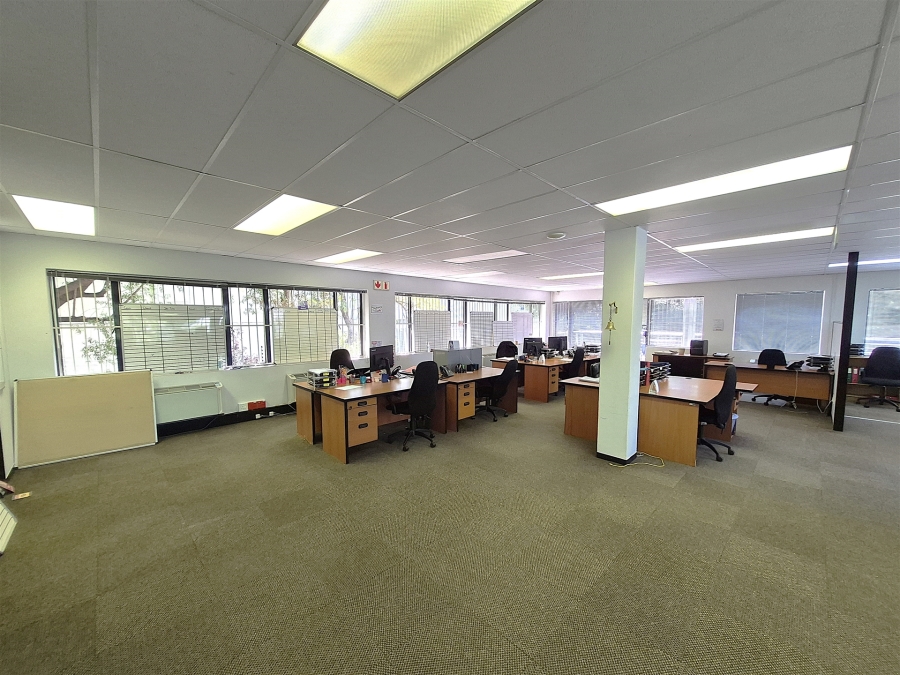 To Let commercial Property for Rent in Illovo Gauteng