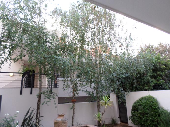 To Let 2 Bedroom Property for Rent in Morningside Gauteng