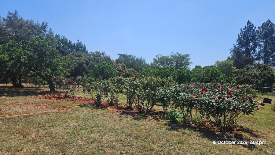 3 Bedroom Property for Sale in Golf View Gauteng