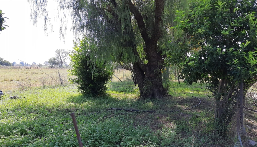 0 Bedroom Property for Sale in Vaalview Gauteng