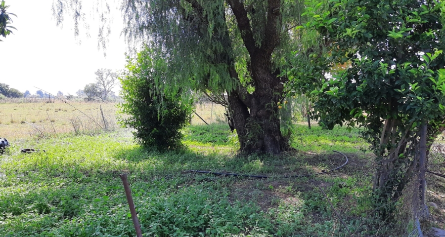 0 Bedroom Property for Sale in Vaalview Gauteng