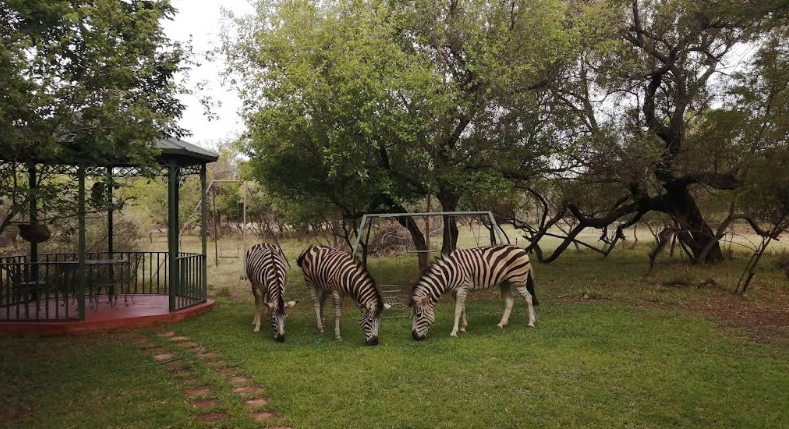 0 Bedroom Property for Sale in Leeuwfontein Gauteng