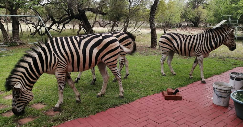 0 Bedroom Property for Sale in Leeuwfontein Gauteng