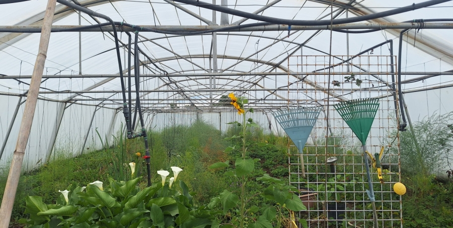 2 Bedroom Property for Sale in Theoville Gauteng