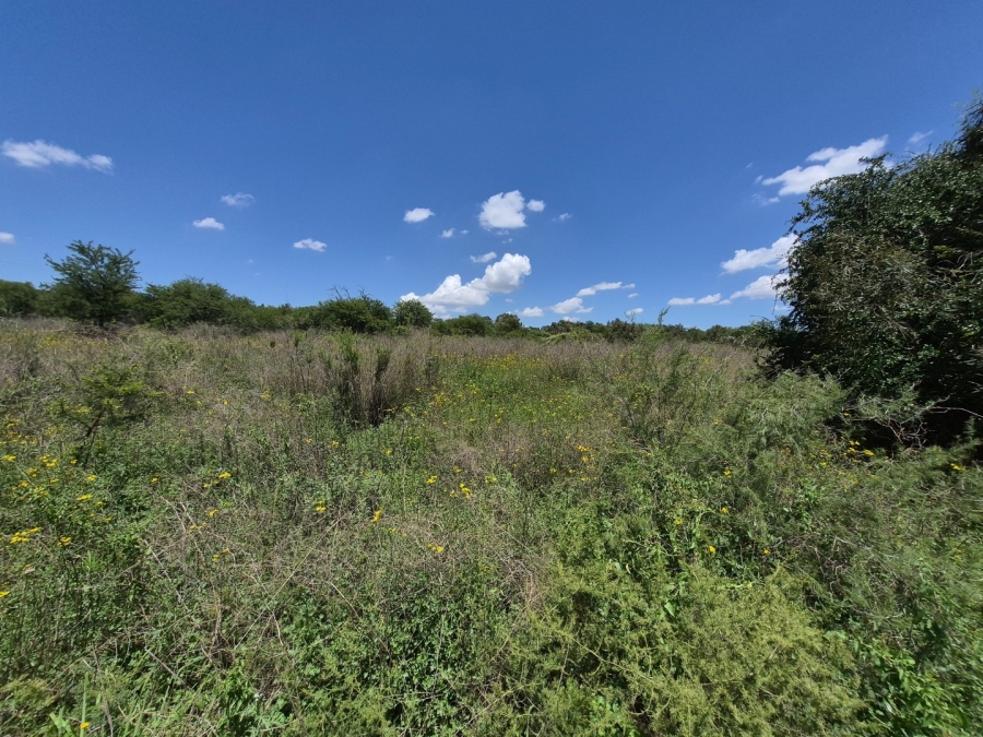 0 Bedroom Property for Sale in Homestead Apple Orchards Gauteng