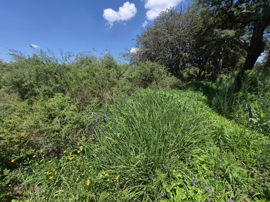 0 Bedroom Property for Sale in Homestead Apple Orchards Gauteng