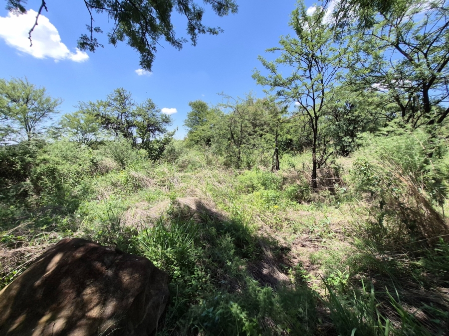 0 Bedroom Property for Sale in Homestead Apple Orchards Gauteng