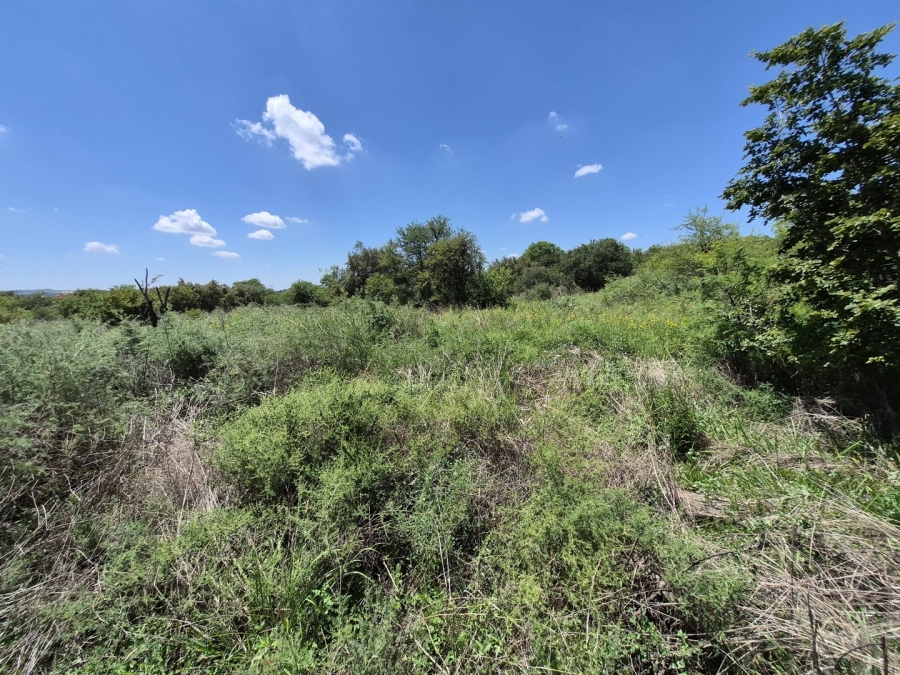 0 Bedroom Property for Sale in Homestead Apple Orchards Gauteng