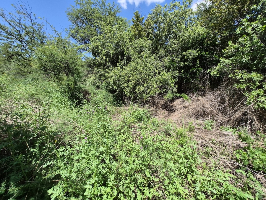 0 Bedroom Property for Sale in Homestead Apple Orchards Gauteng