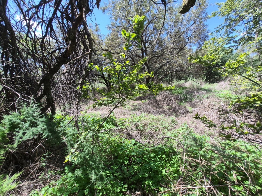 0 Bedroom Property for Sale in Homestead Apple Orchards Gauteng