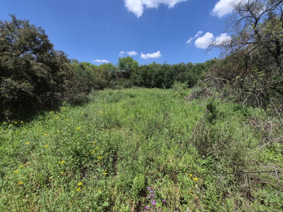 0 Bedroom Property for Sale in Homestead Apple Orchards Gauteng