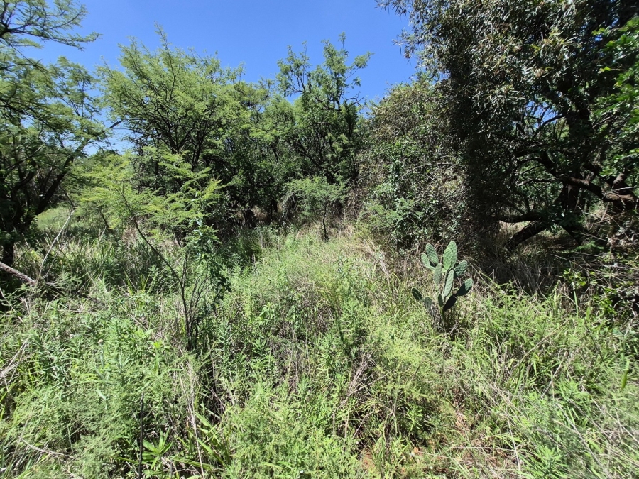 0 Bedroom Property for Sale in Homestead Apple Orchards Gauteng