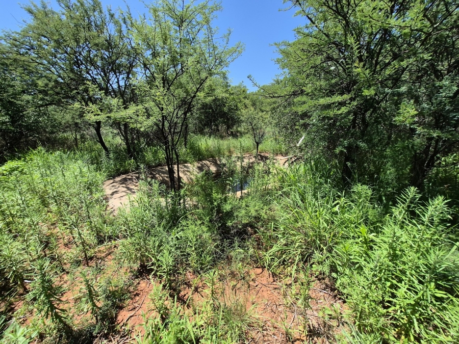 0 Bedroom Property for Sale in Homestead Apple Orchards Gauteng