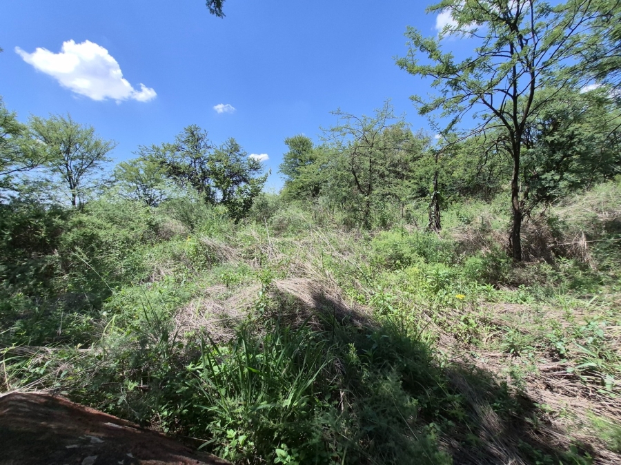 0 Bedroom Property for Sale in Homestead Apple Orchards Gauteng