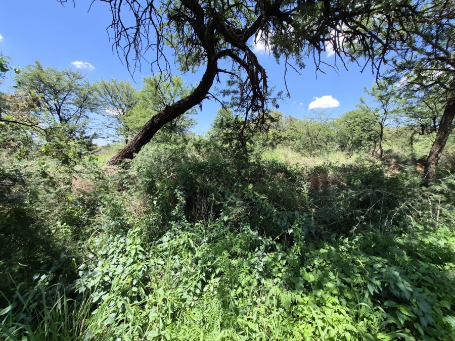 0 Bedroom Property for Sale in Homestead Apple Orchards Gauteng