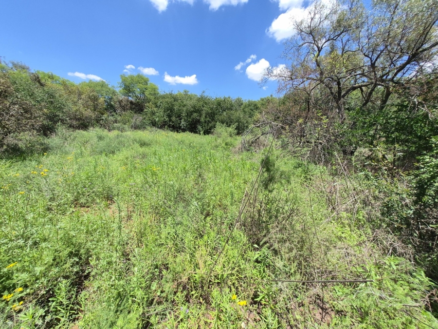 0 Bedroom Property for Sale in Homestead Apple Orchards Gauteng