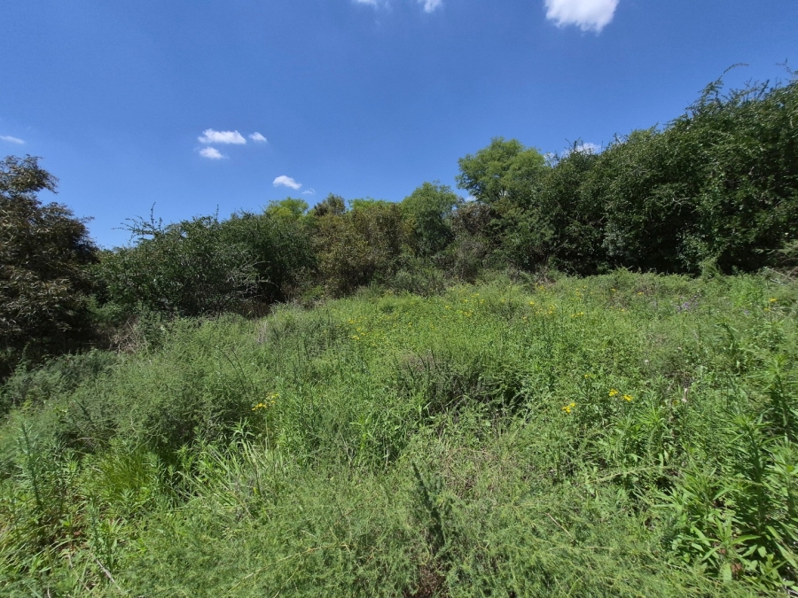 0 Bedroom Property for Sale in Homestead Apple Orchards Gauteng