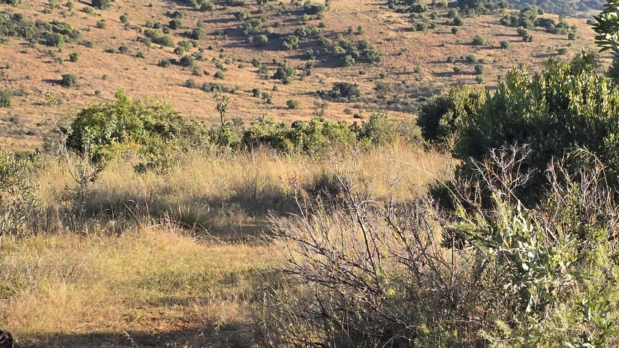 5 Bedroom Property for Sale in Hekpoort Gauteng