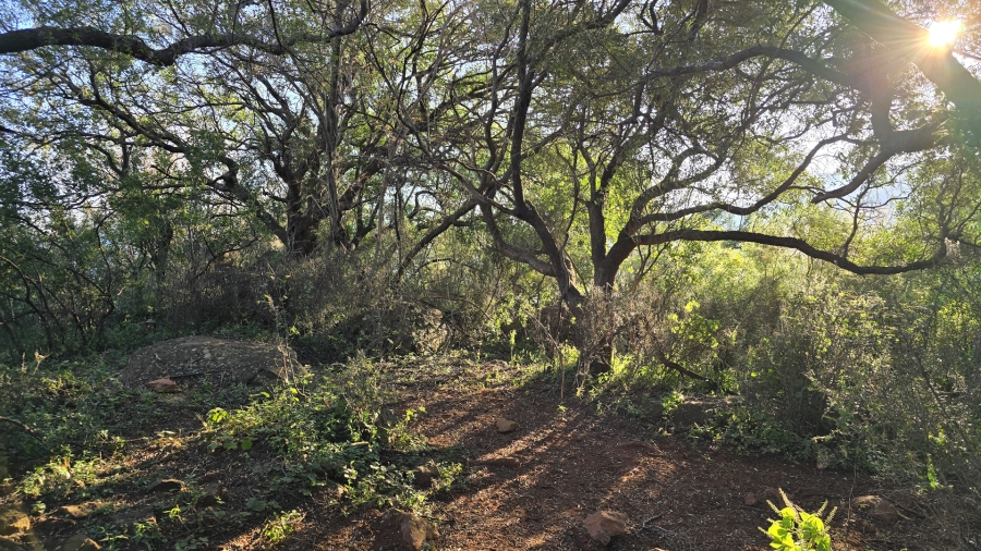 5 Bedroom Property for Sale in Hekpoort Gauteng