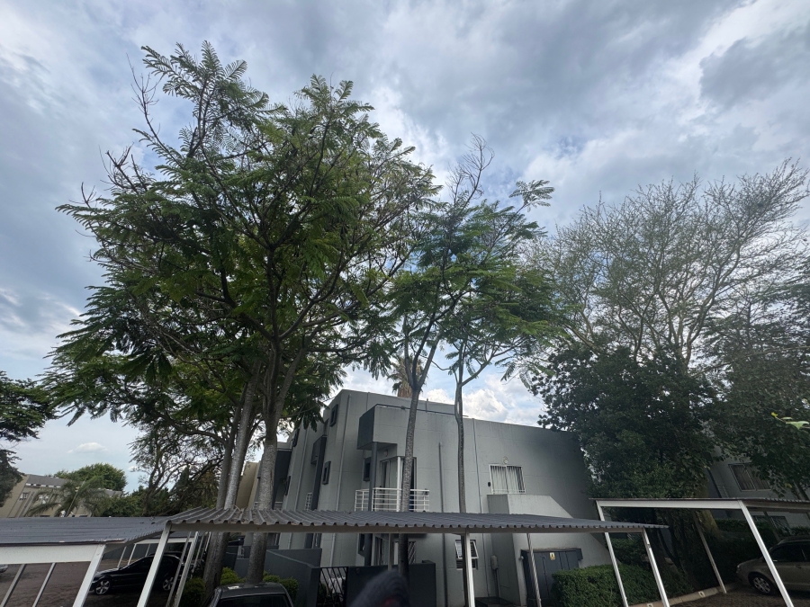 To Let 0 Bedroom Property for Rent in Sandown Gauteng