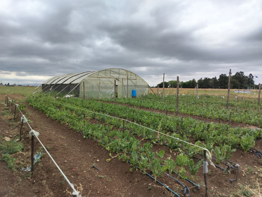 0 Bedroom Property for Sale in Meyerton Park Gauteng