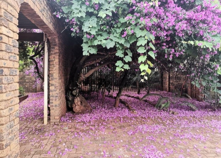 3 Bedroom Property for Sale in Danville Gauteng