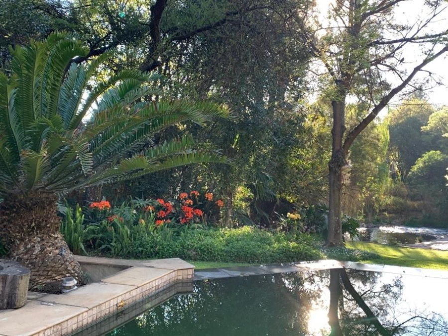 To Let 4 Bedroom Property for Rent in Rivonia Gauteng