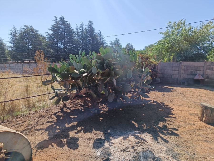 4 Bedroom Property for Sale in Hillside Gauteng