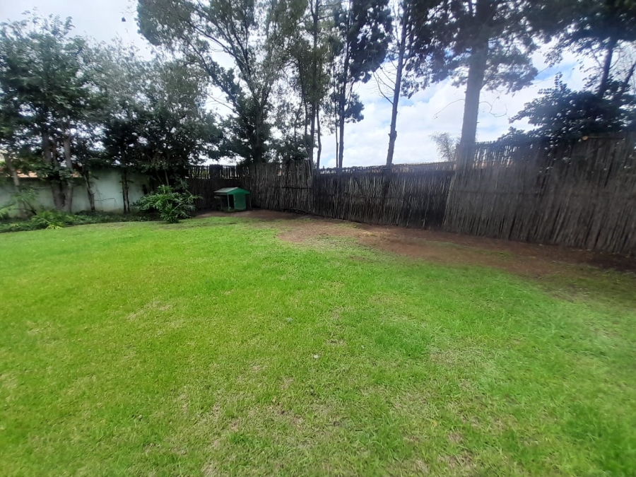 To Let 4 Bedroom Property for Rent in Randpark Ridge Gauteng